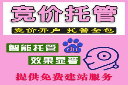 百度竞价效果评估：以实际案例探讨投入产出比